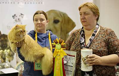 �������� �����  20-21 �������� 2014 ������������ ��� 2-269-169A1381 copy.jpg